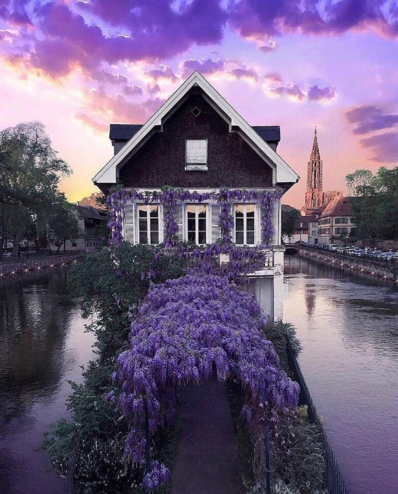 Charming House Exterior with violet sky and many flowers