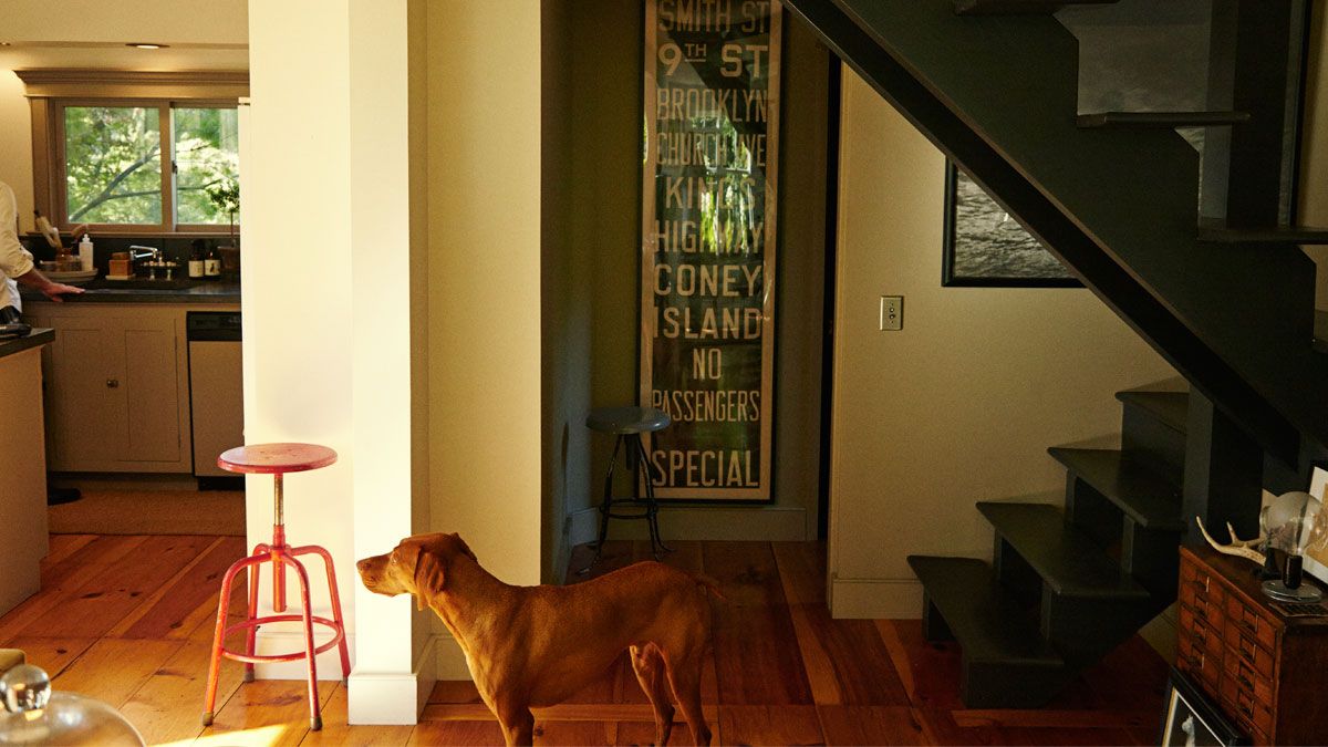 Frank Muytjens country house with dog