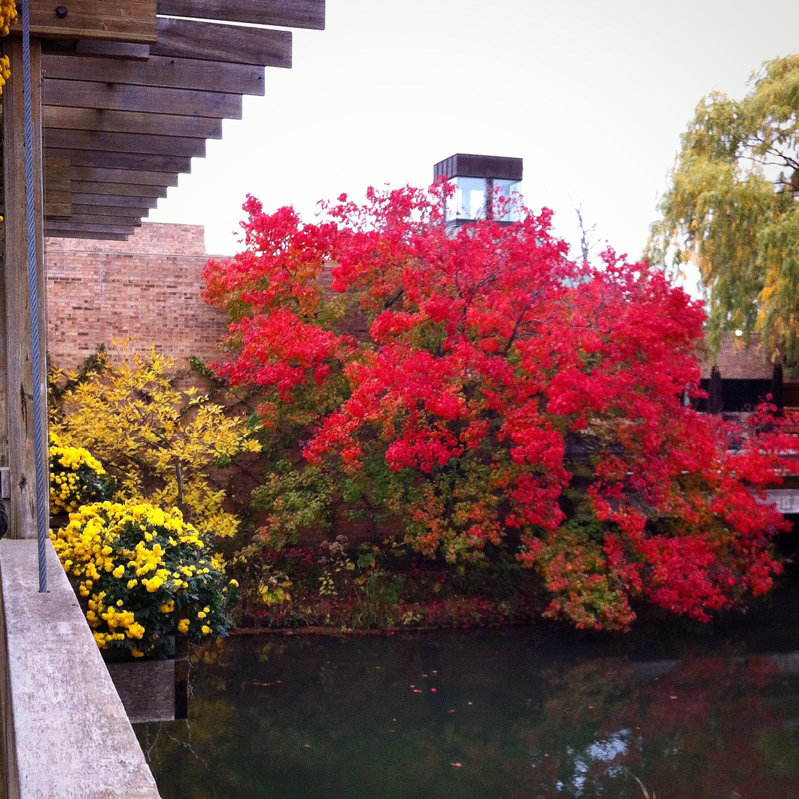 Chicago Botanic Garden