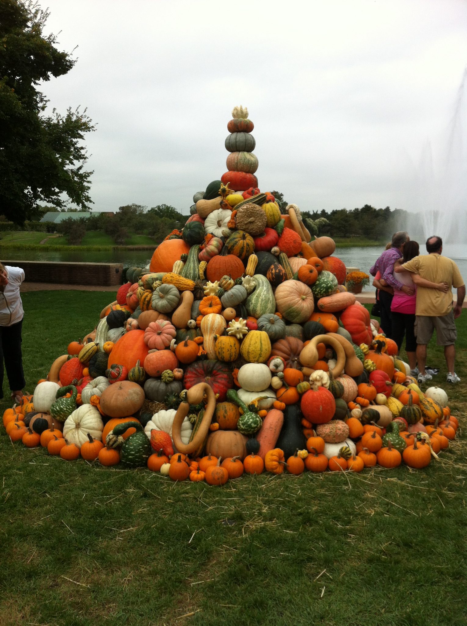 Pumpkins at the Botanic Garden